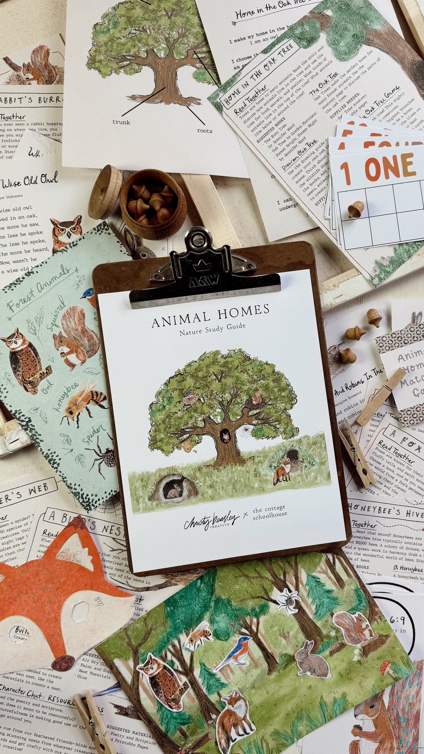 Animal Homes Unit Study Digital Download