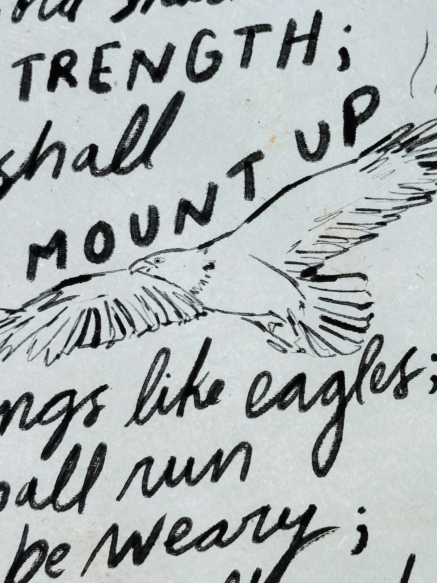 Mount Up