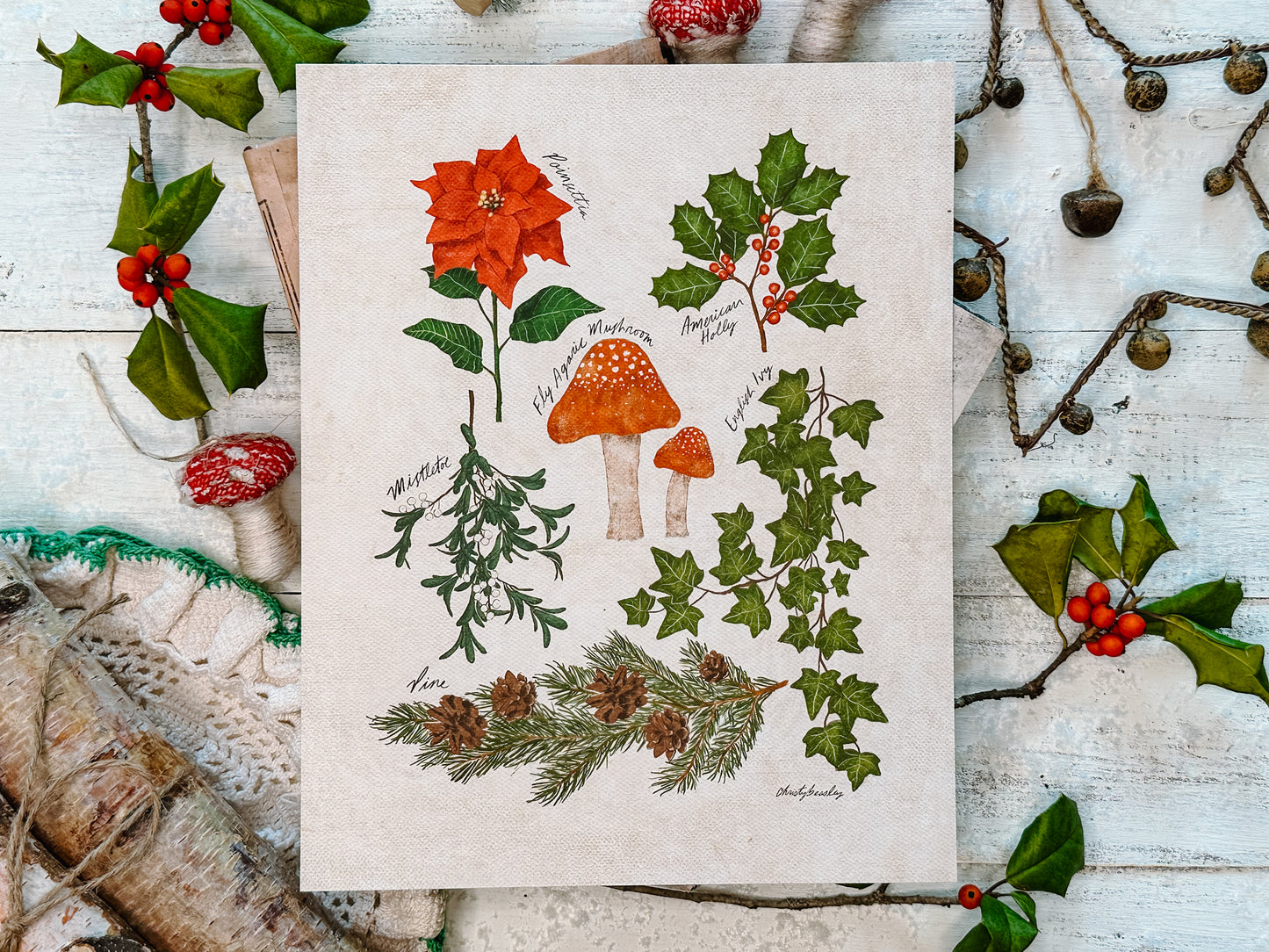 Christmas Foliage