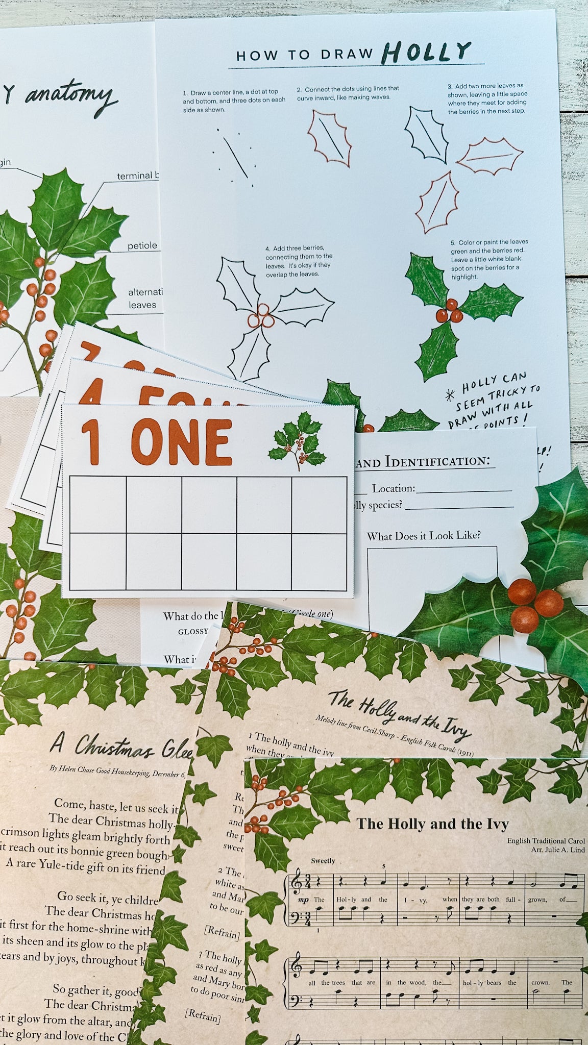 Holly Unit Study Digital Download