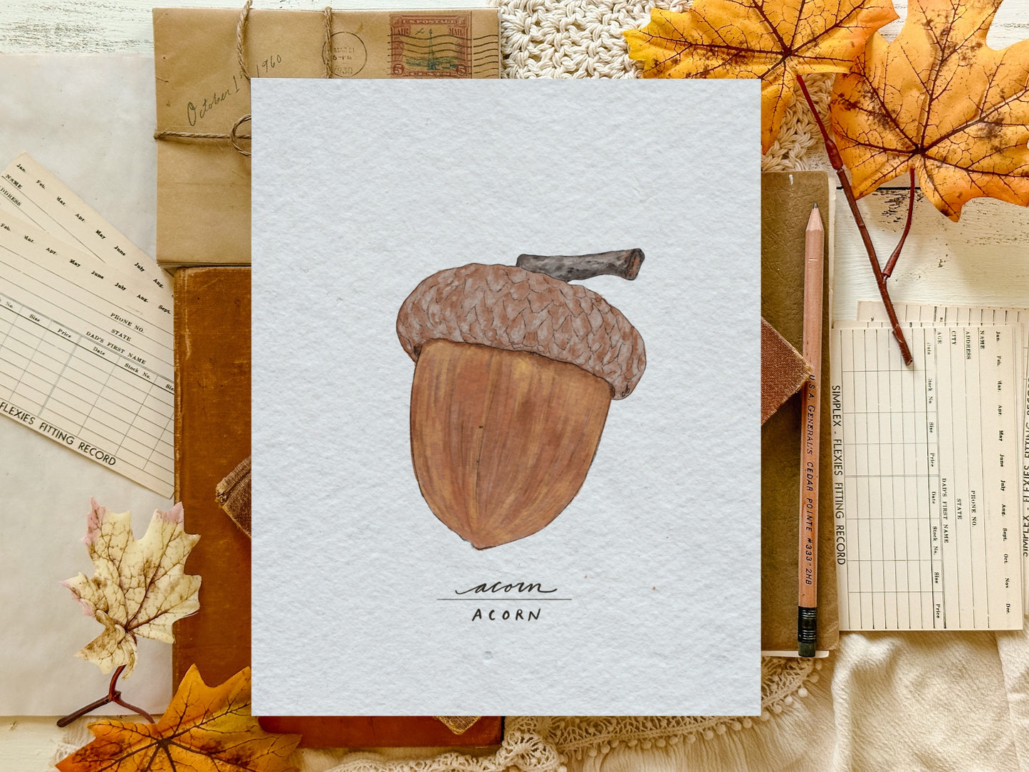 Acorn