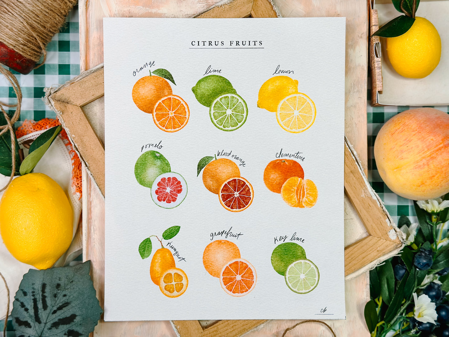 Citrus Fruit Poster