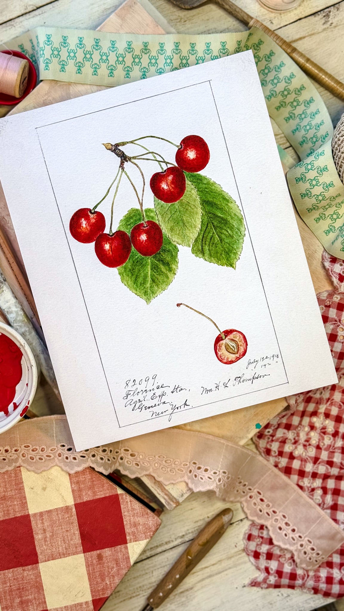 1915 Vintage Cherries