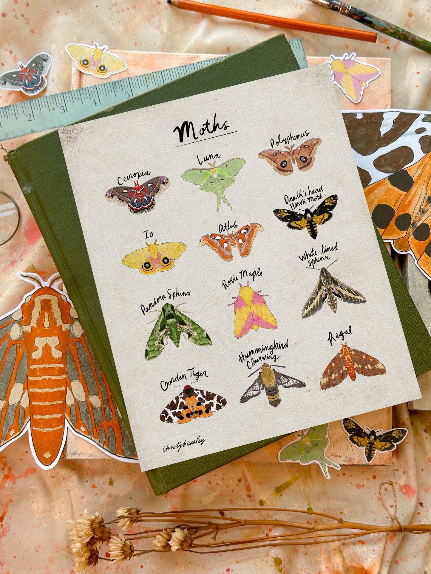 Moth Poster