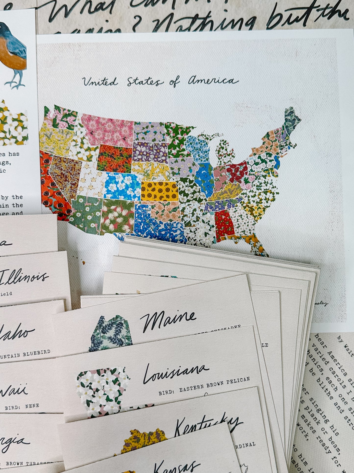 U.S.A. States and Symbols Unit Study Digital Download