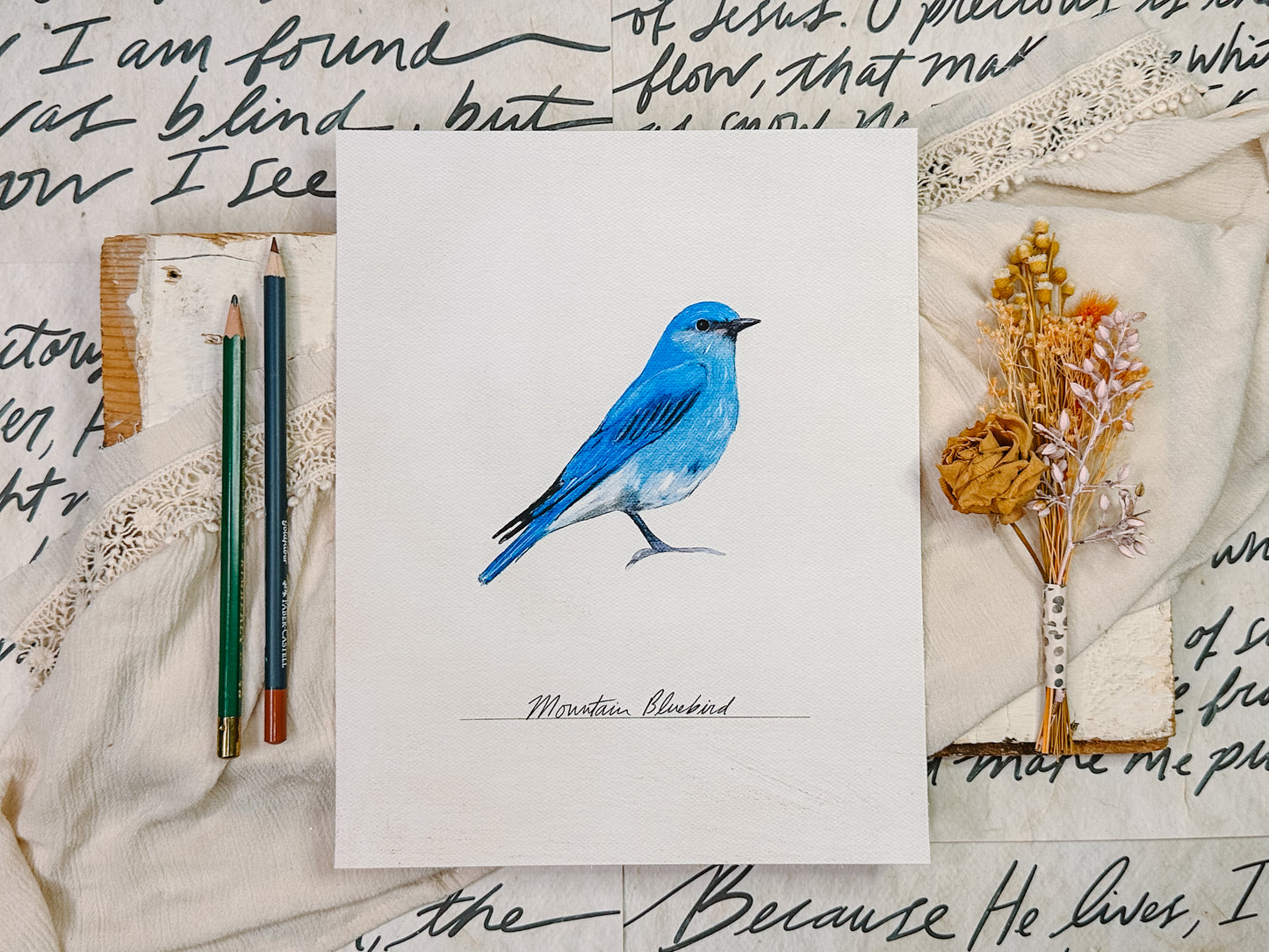 Bird Prints