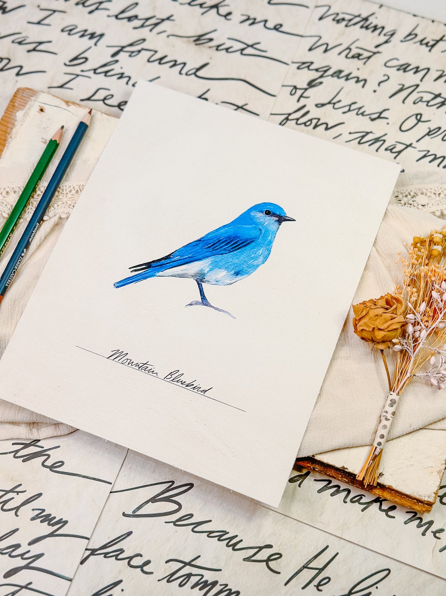 Bird Prints