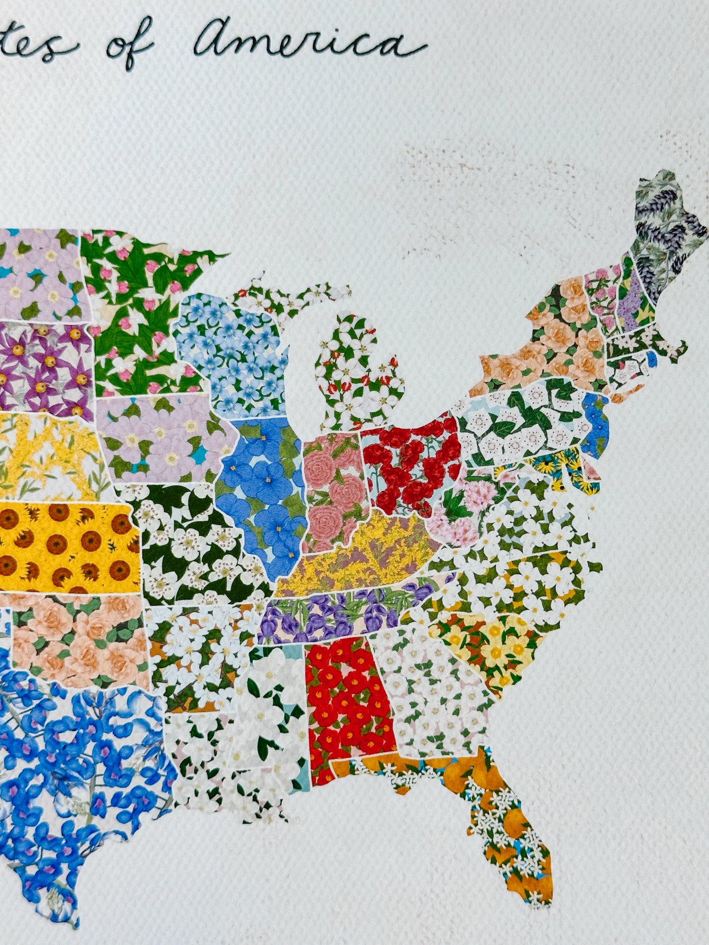 U.S.A. States Floral Map