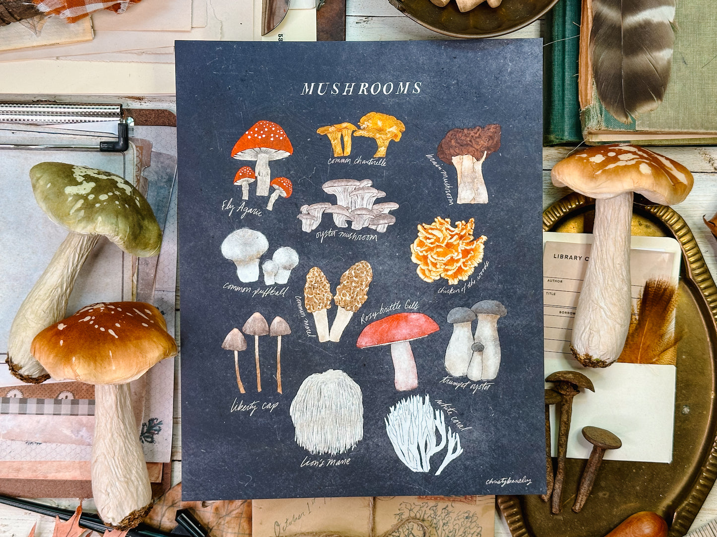 Vintage Mushrooms