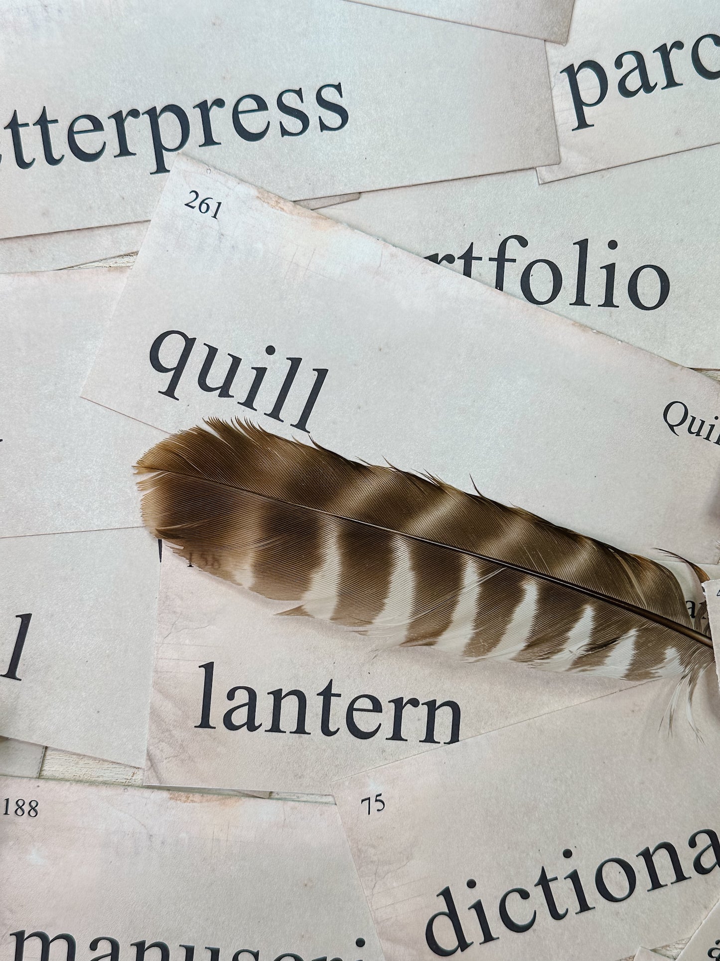 Vintage Academic Flashcards Digital Download