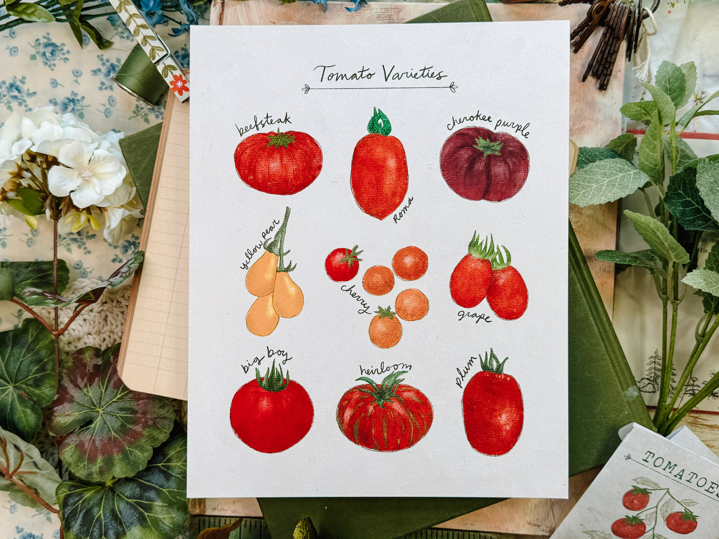 Tomato Varieties Poster