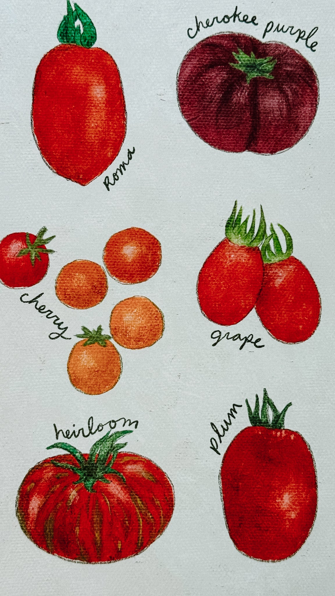 Tomato Varieties Poster