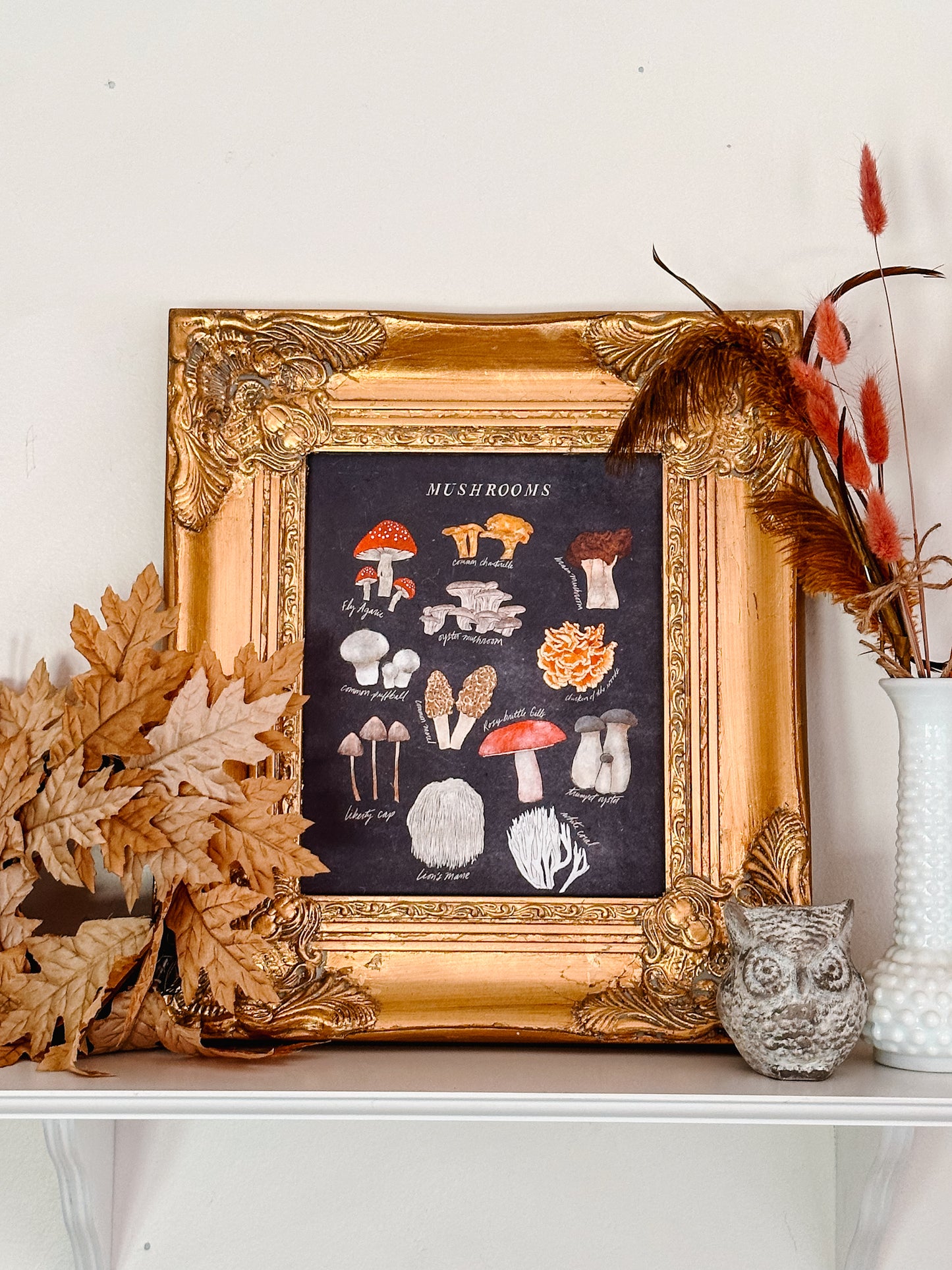 Vintage Mushrooms