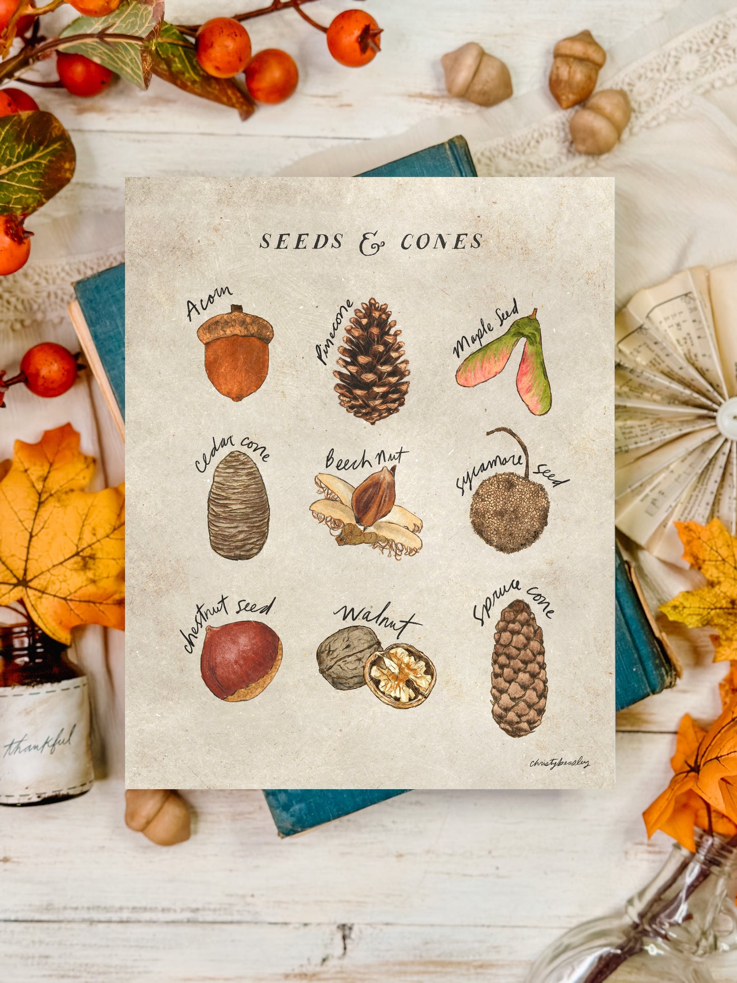 Fall Seeds and Cones Poster