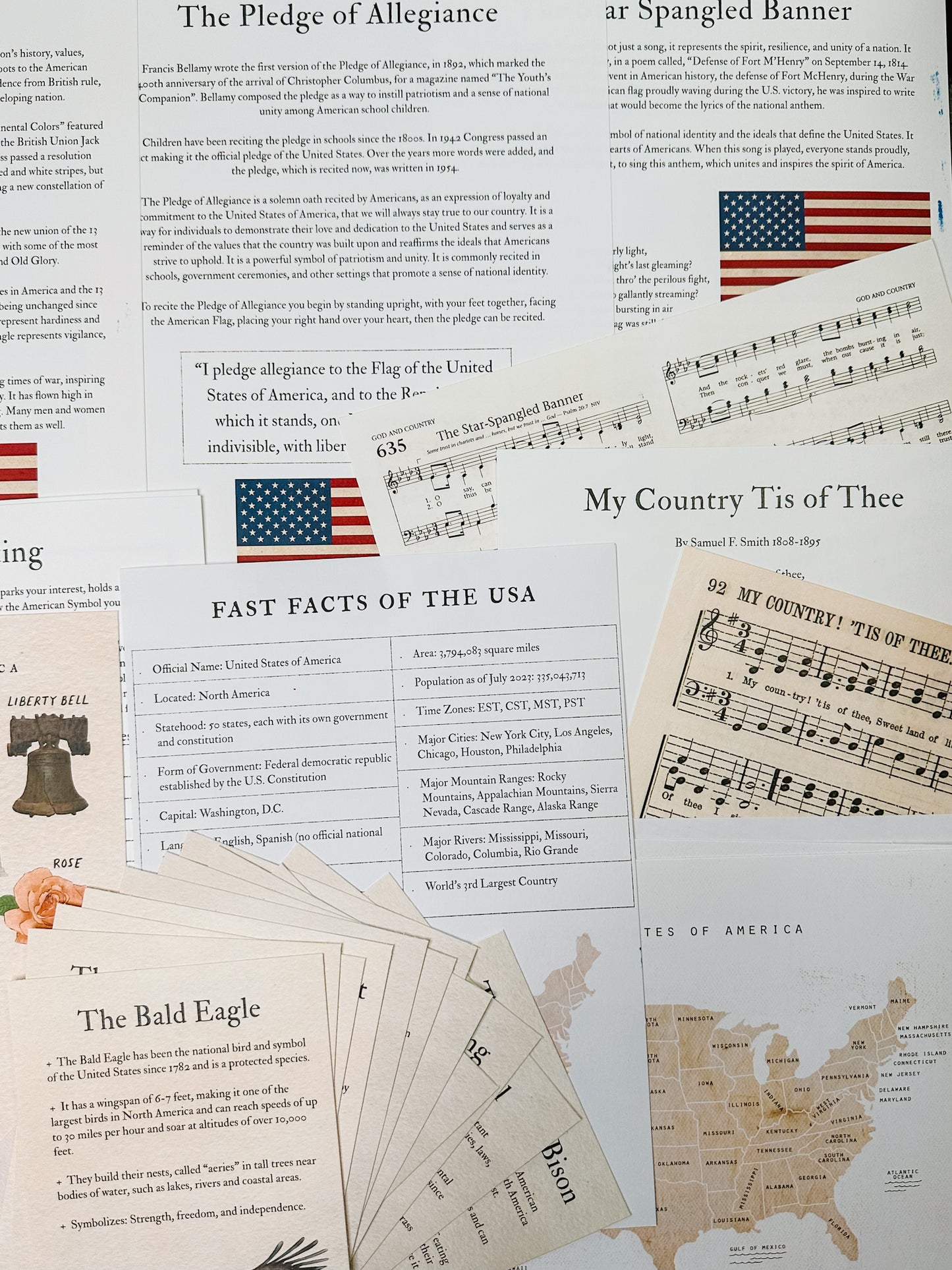American Symbols Unit Study Digital Download