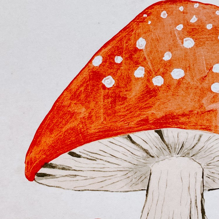 Dreamy Toadstool Mushroom