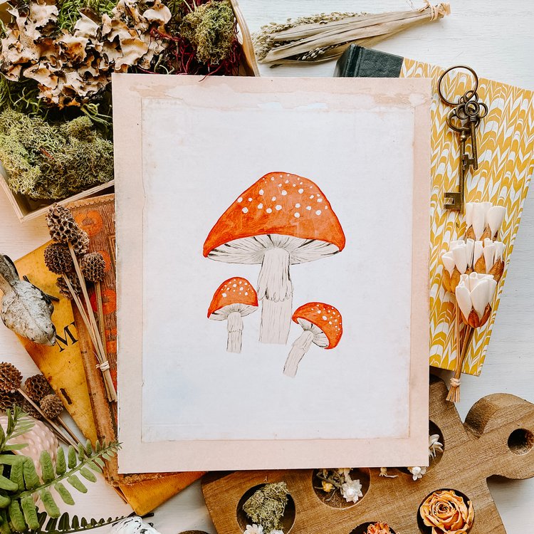 Dreamy Toadstool Mushroom