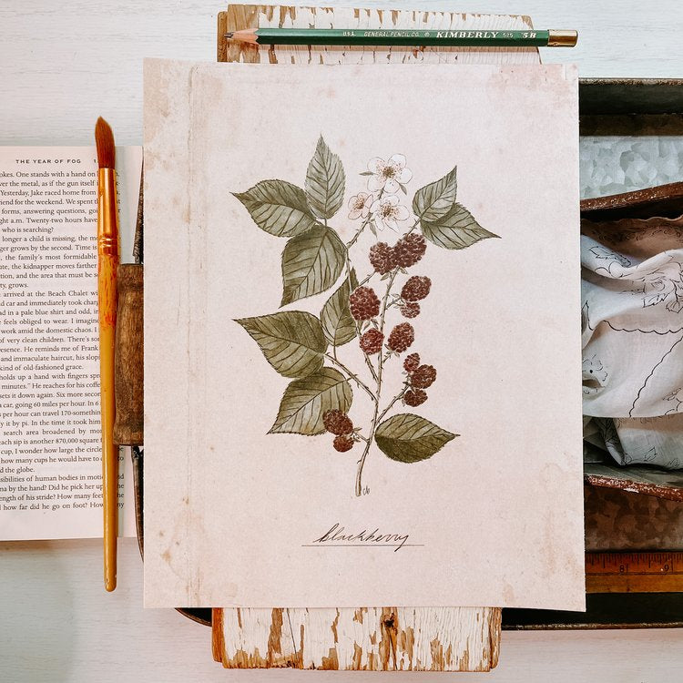 Blackberries