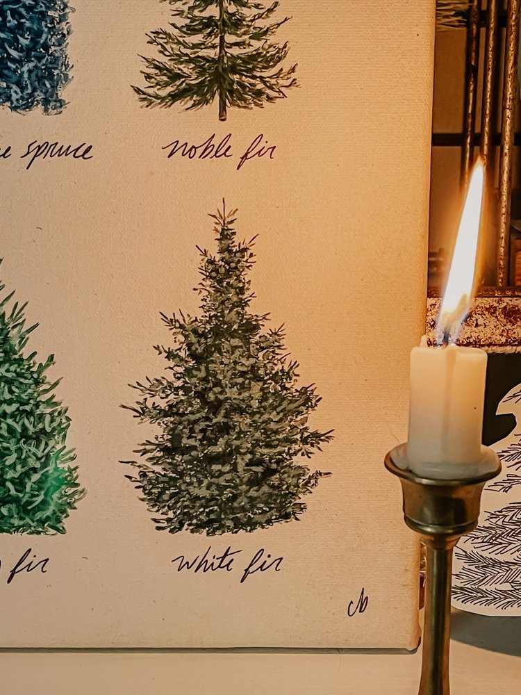 Christmas Trees Poster