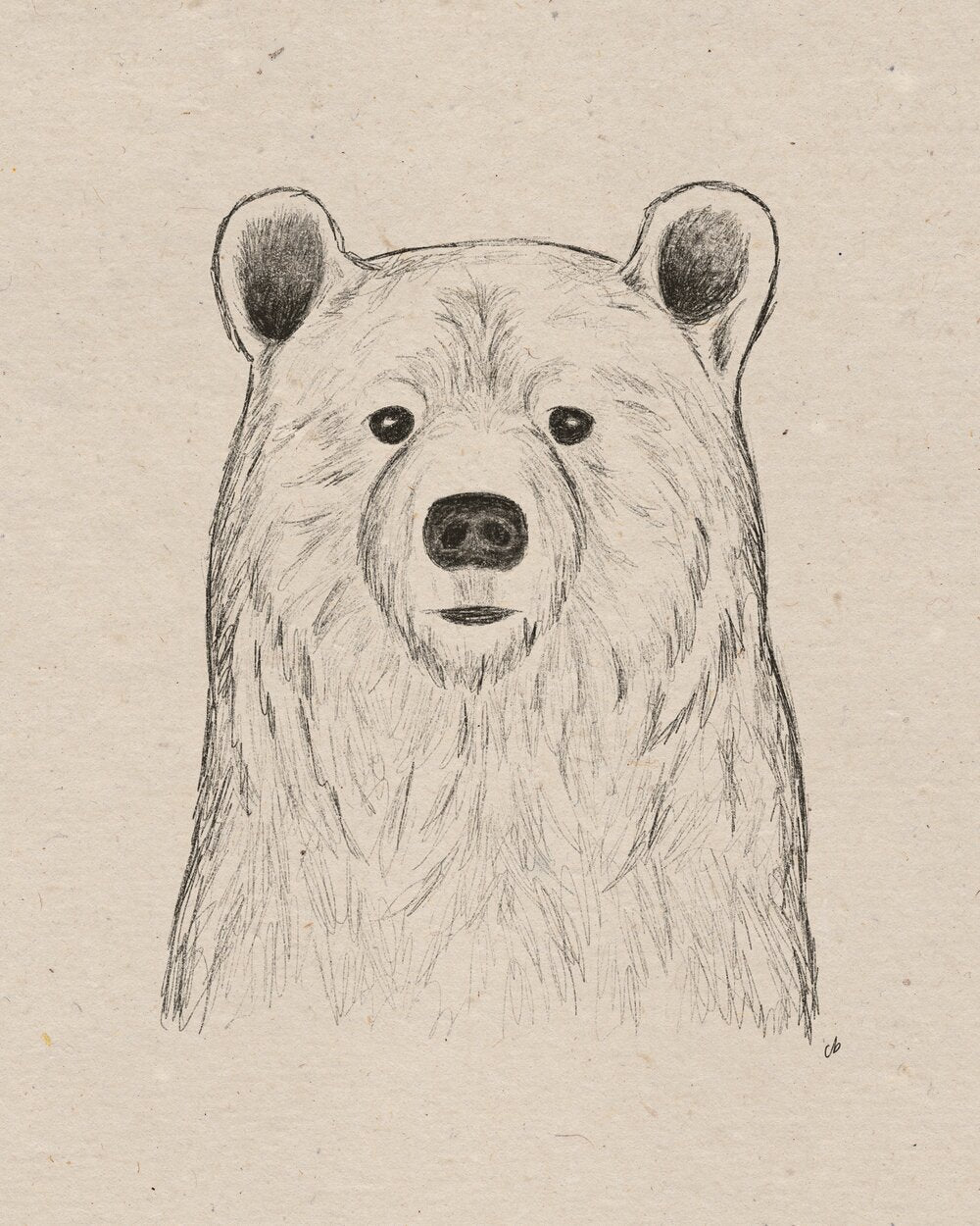 Forest Animals