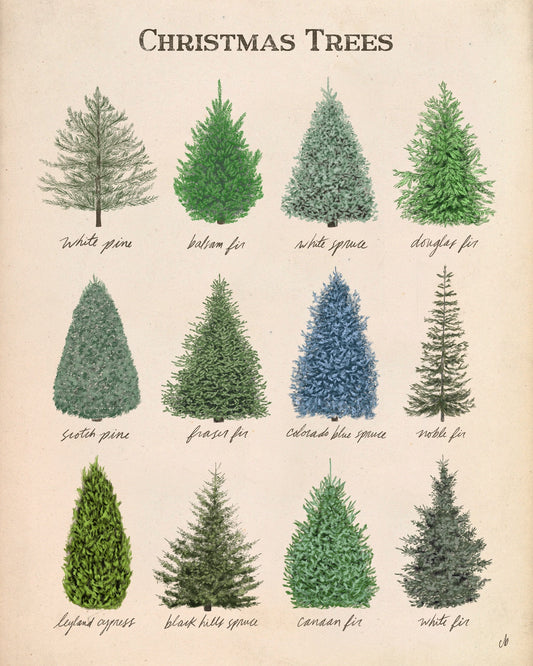 Christmas Trees Poster