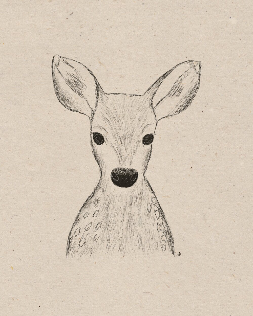 Forest Animals