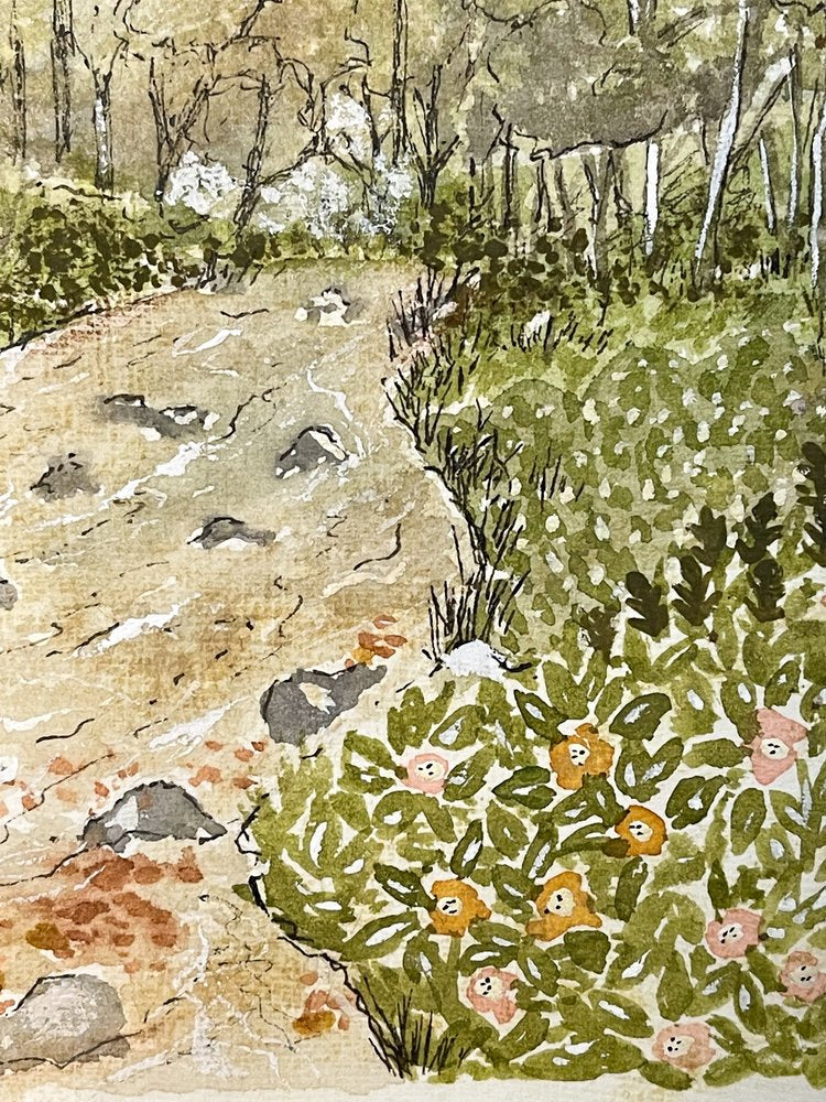 Meadow Creek