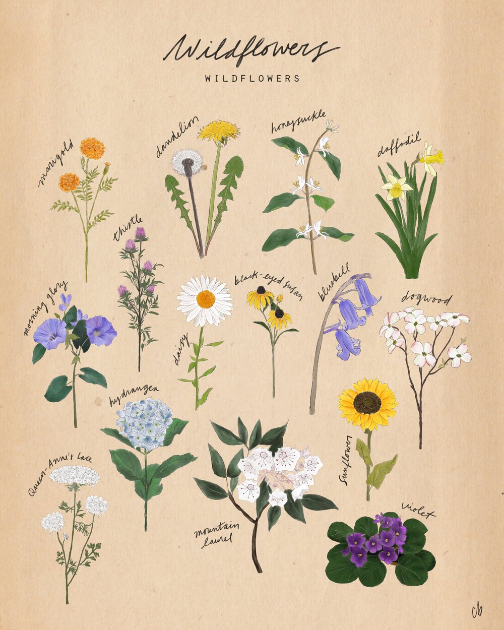 Wildflower Posters
