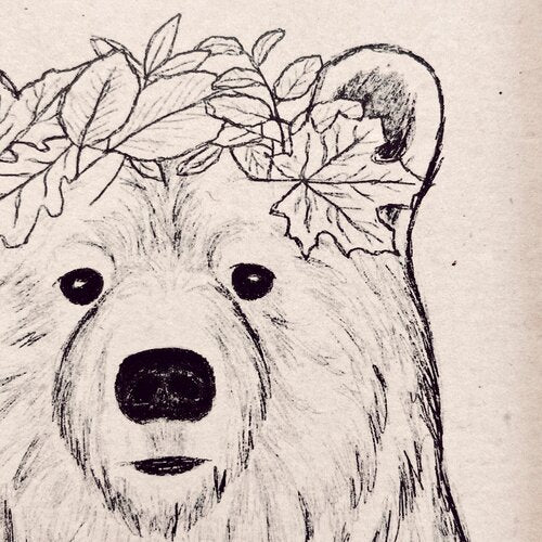 Forest Animals