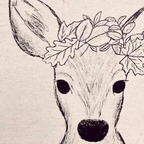 Forest Animals