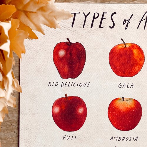 Types of Apples Poster