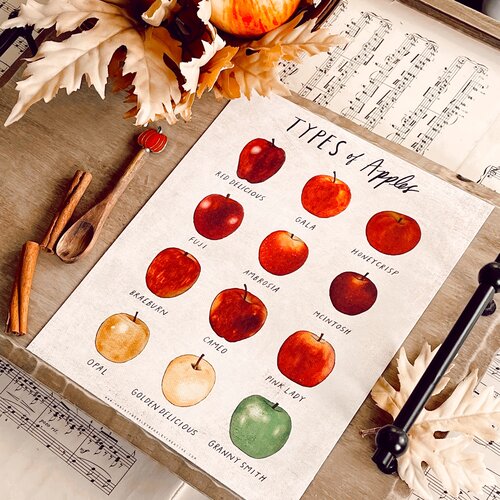 Types of Apples Poster