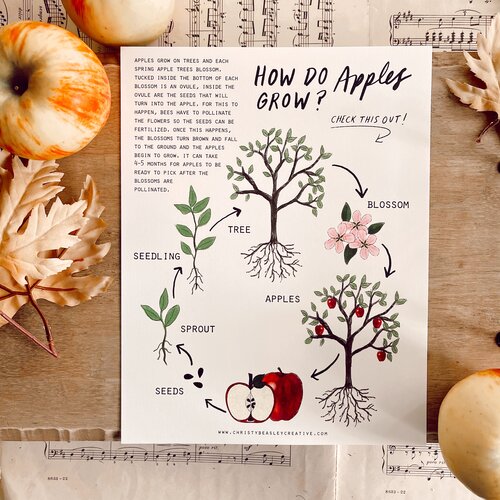 Apples Unit Study Digital Download