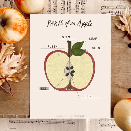 Apples Unit Study Digital Download