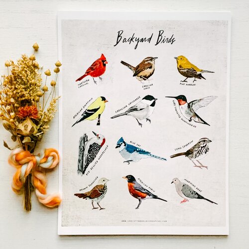 Backyard Birds Unit Study Digital Download