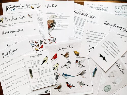 Backyard Birds Unit Study Digital Download