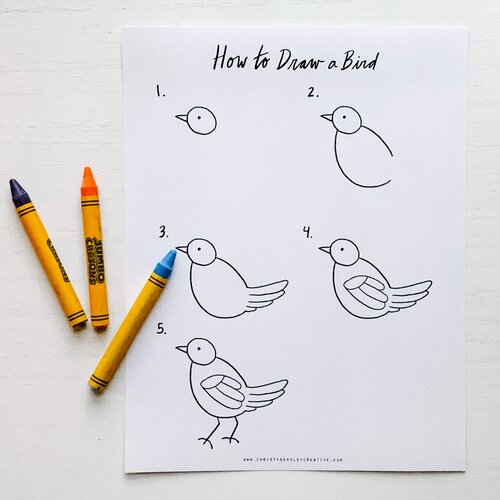 Backyard Birds Unit Study Digital Download