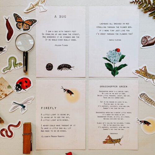 Bugs and Backyard Dwellers Unit Study Digital Download