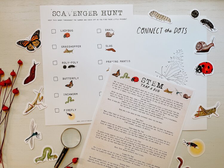 Bugs and Backyard Dwellers Unit Study Digital Download
