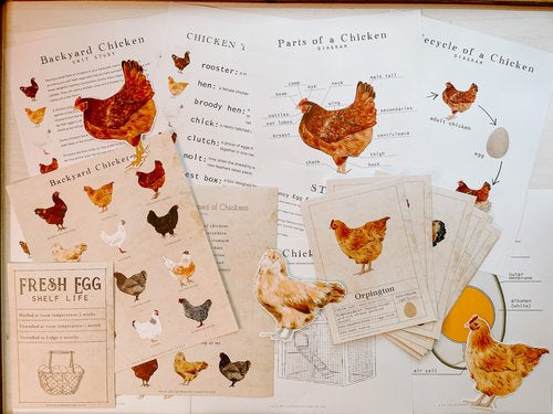 Chicken Unit Study Digital Download