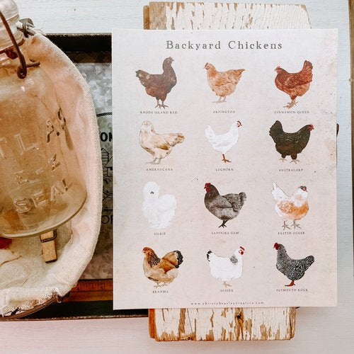 Chicken Unit Study Digital Download