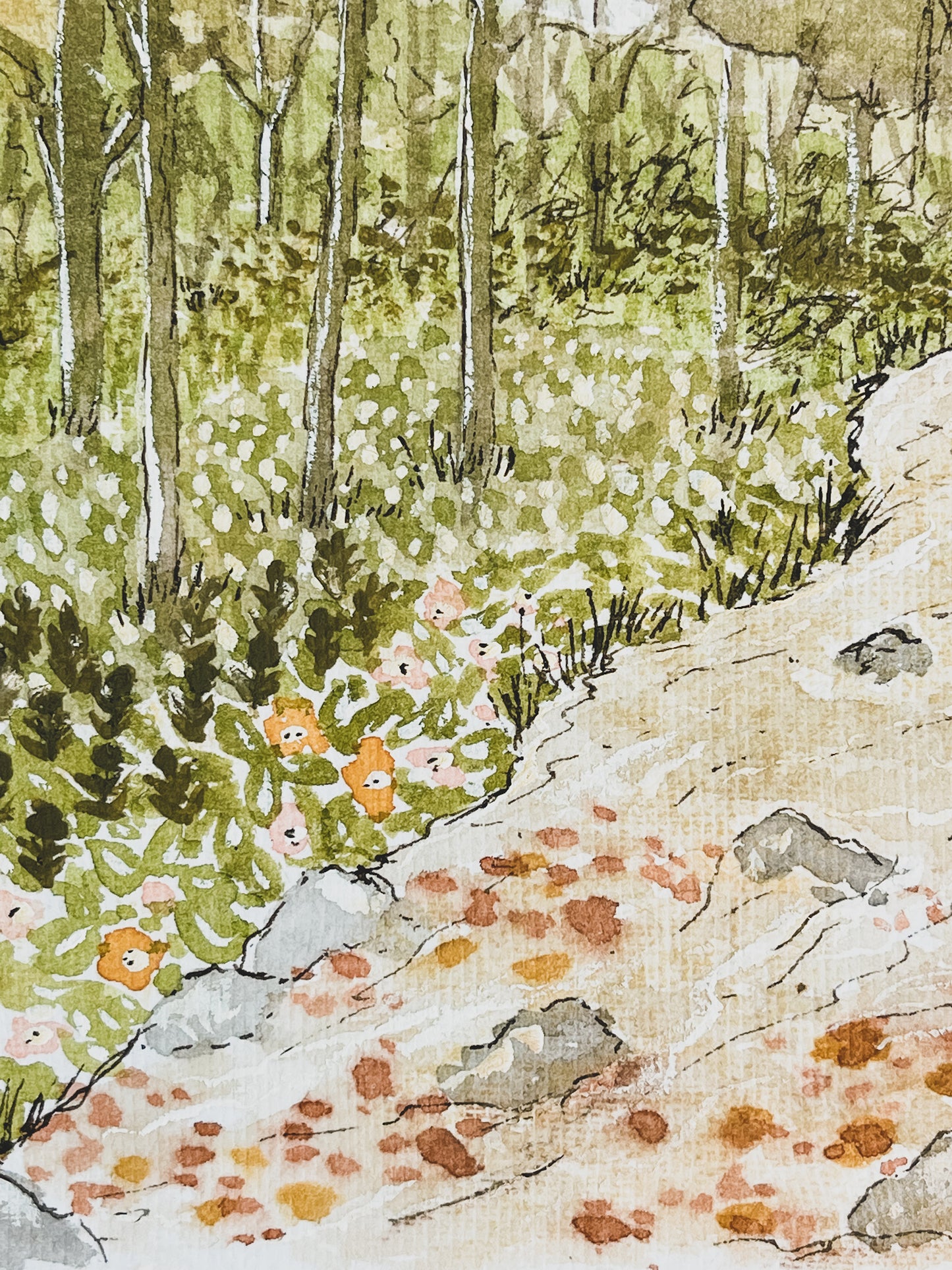 Meadow Creek (Original)