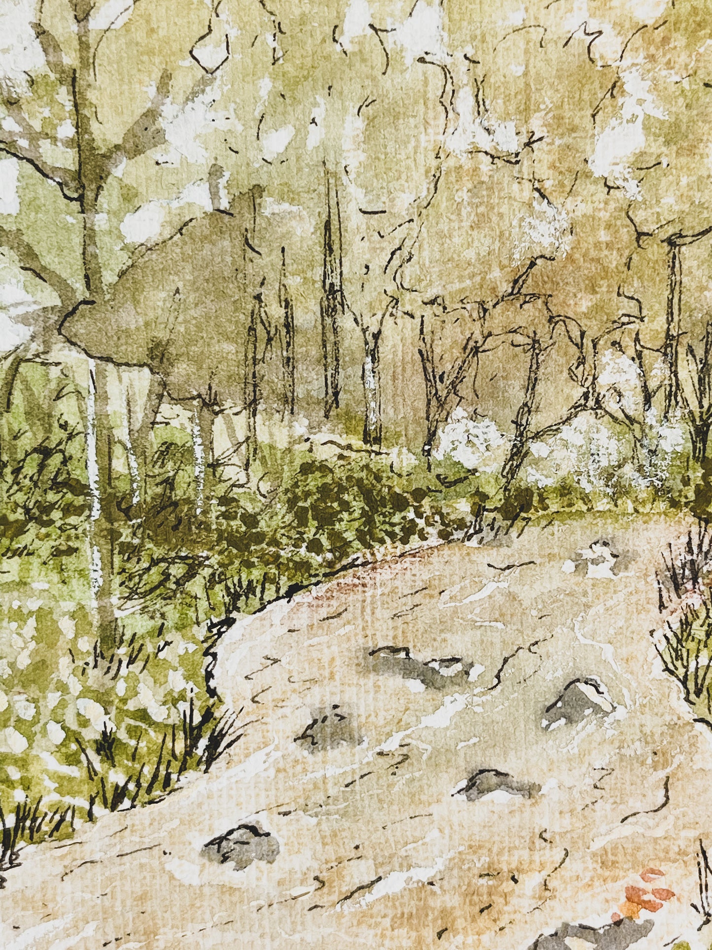 Meadow Creek (Original)
