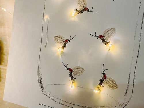 Lightning Bug Unit Study Digital Download