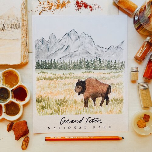 U.S. National Parks Unit Study Digital Download