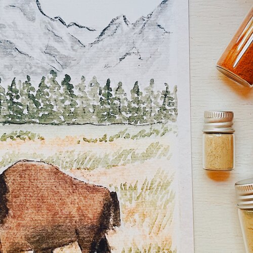U.S. National Parks Prints
