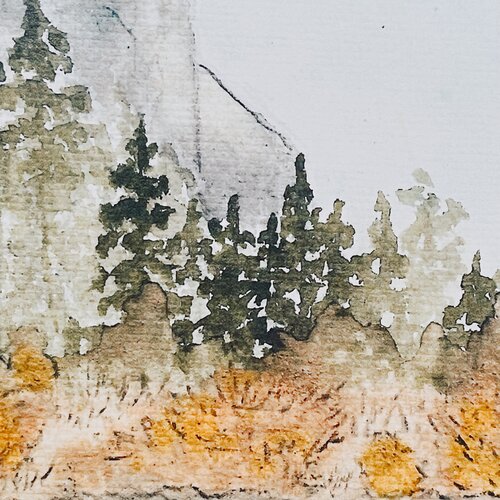 U.S. National Parks Prints