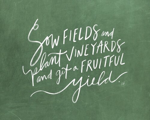 Sow Fields Print
