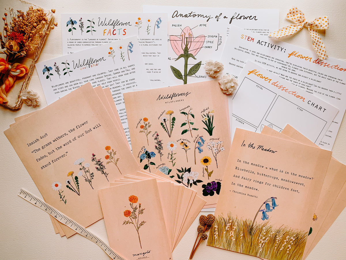 Wildflower Unit Study Digital Download