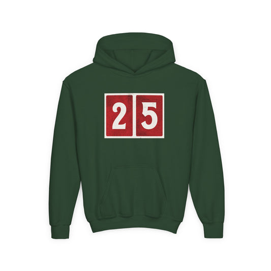 25 - Joyful and Triumphant - Youth Heavy Blend Hooded Sweatshirt